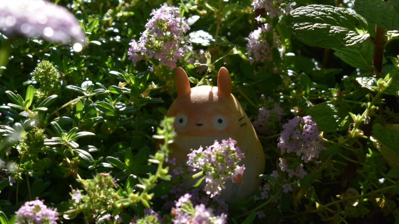 タイムの花森にトトロ202004-1