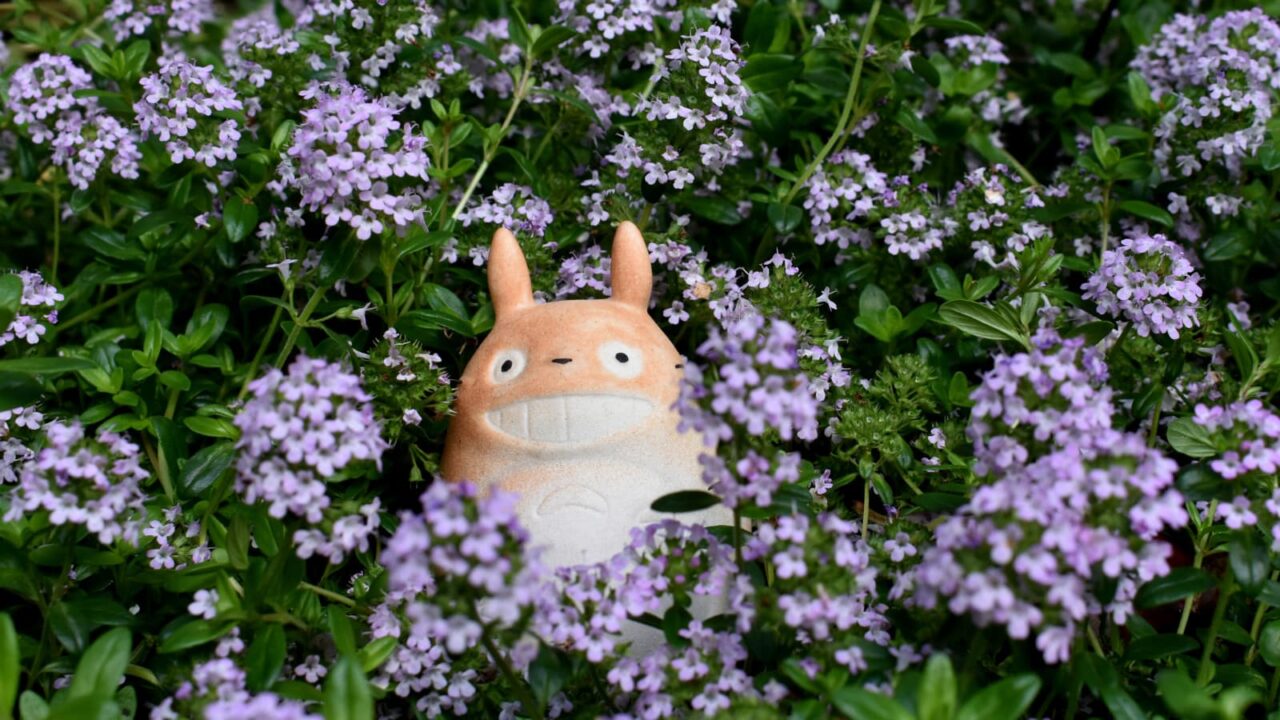 タイムの花森にトトロ202004-2