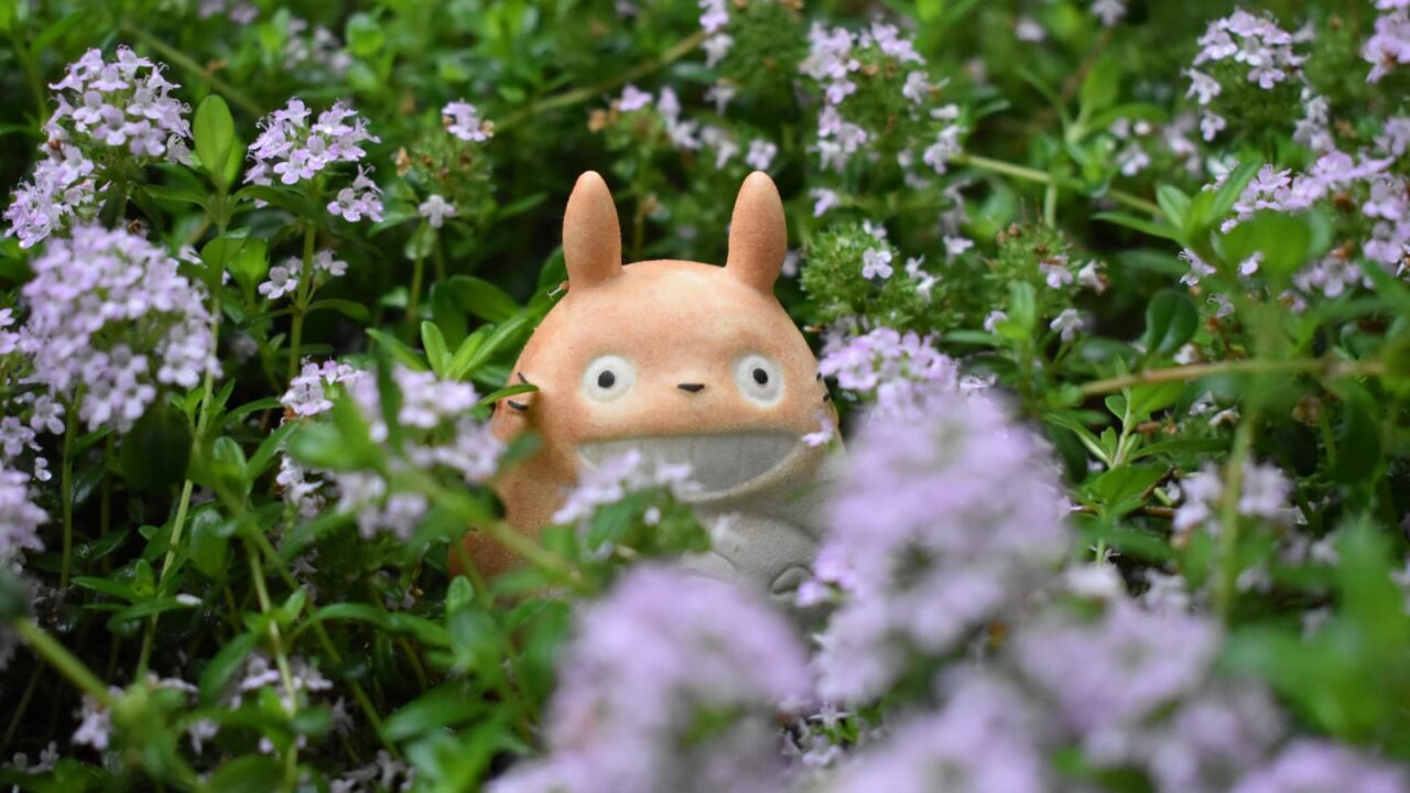 タイムの花森にトトロ202004-6