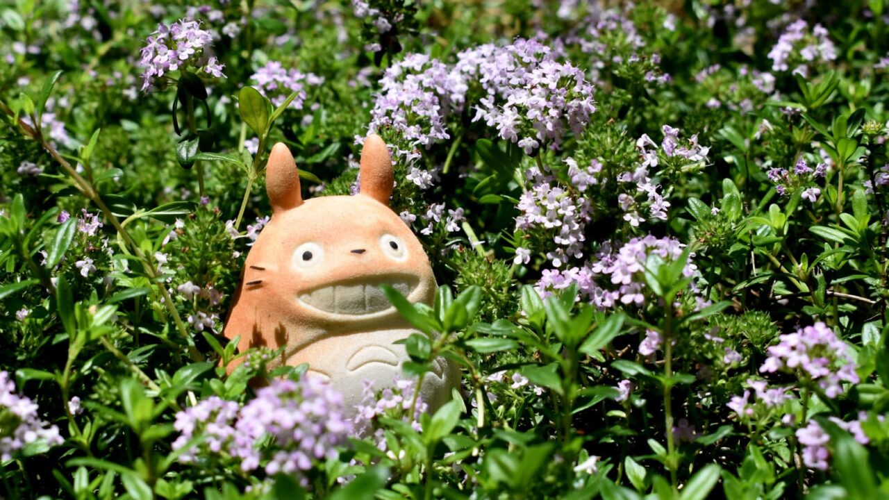 タイムの花森にトトロ202004-7