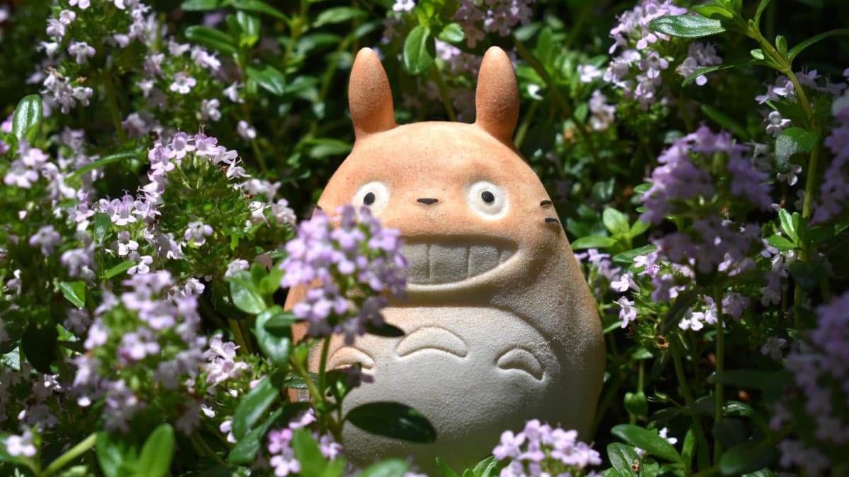 タイムの花森にトトロ202004（キャッチ画像）