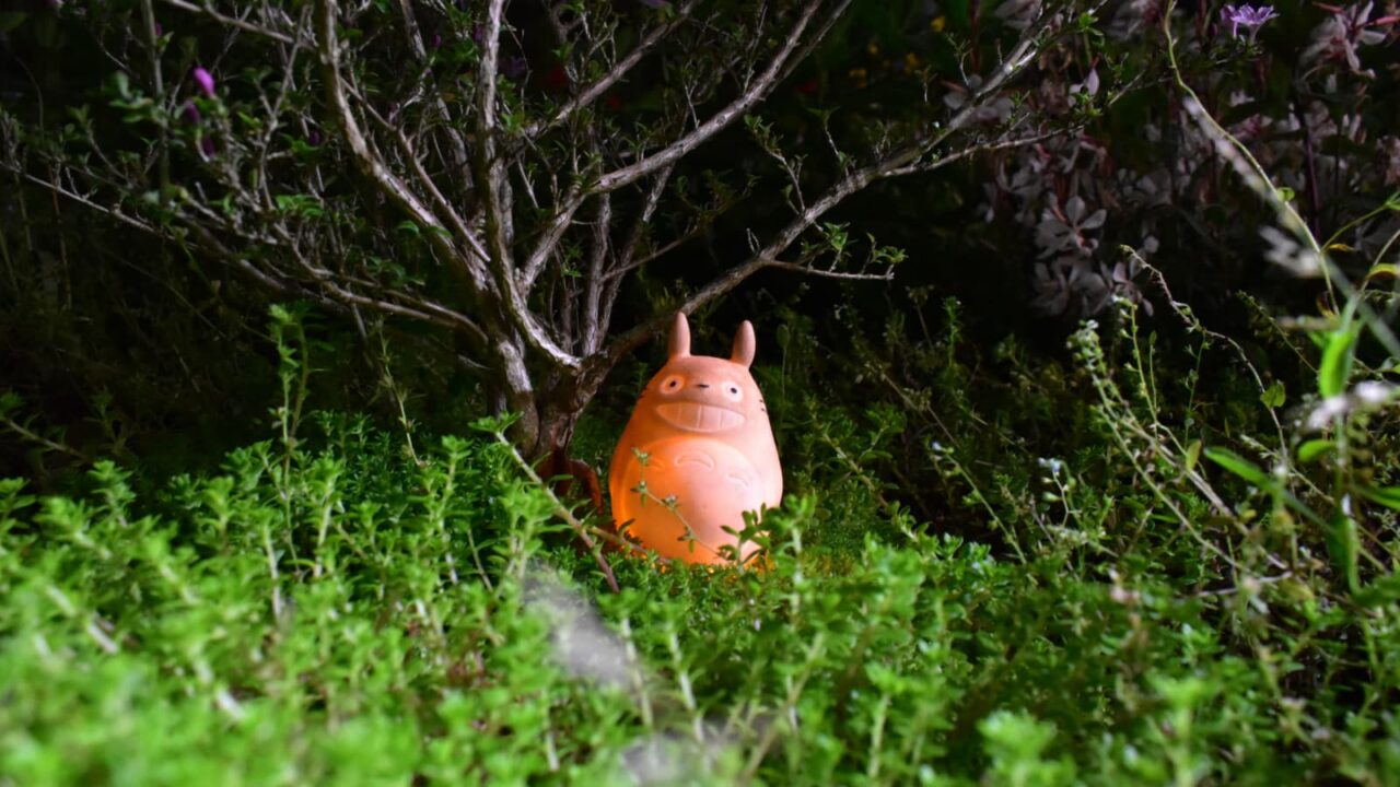 光るトトロ202005-1（夜の紅鳥花の樹下）