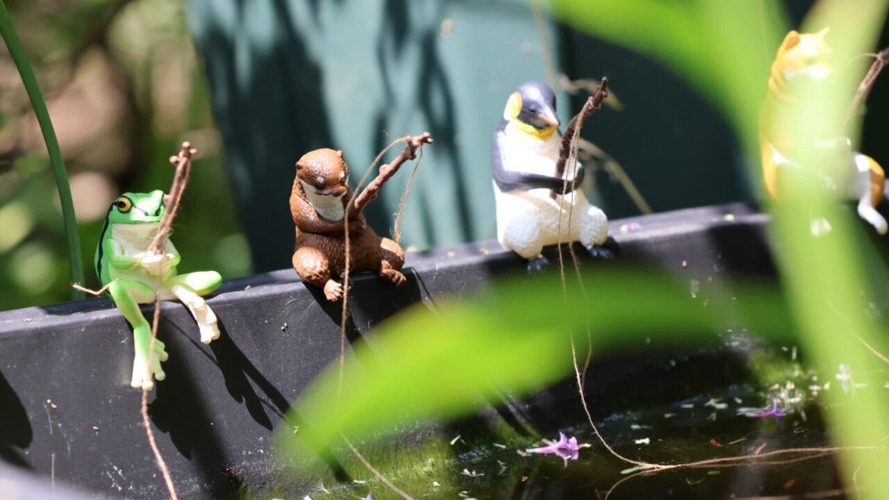 釣り日和２回目202606（カエル・カワウソ・ペンギン）