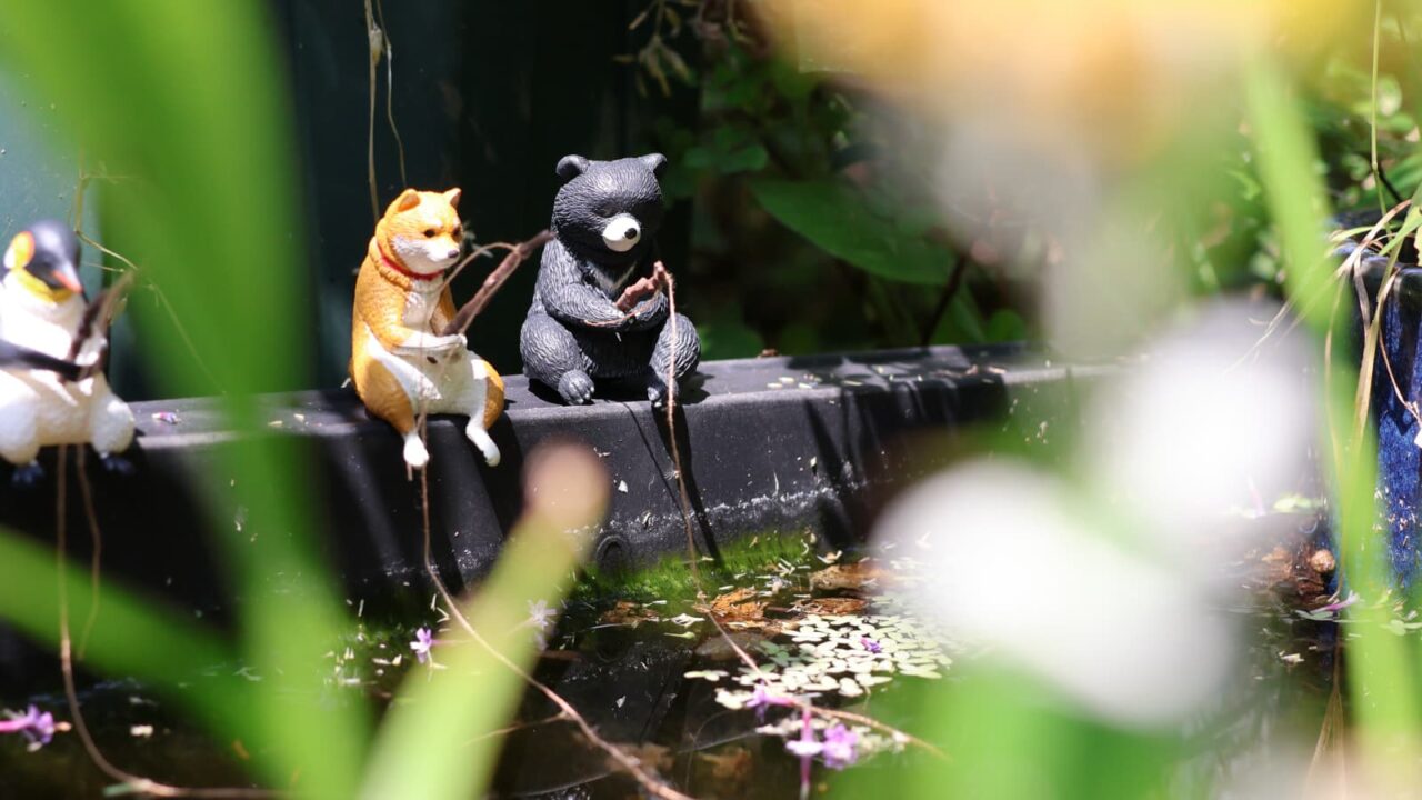 釣り日和２回目202606（熊と犬）