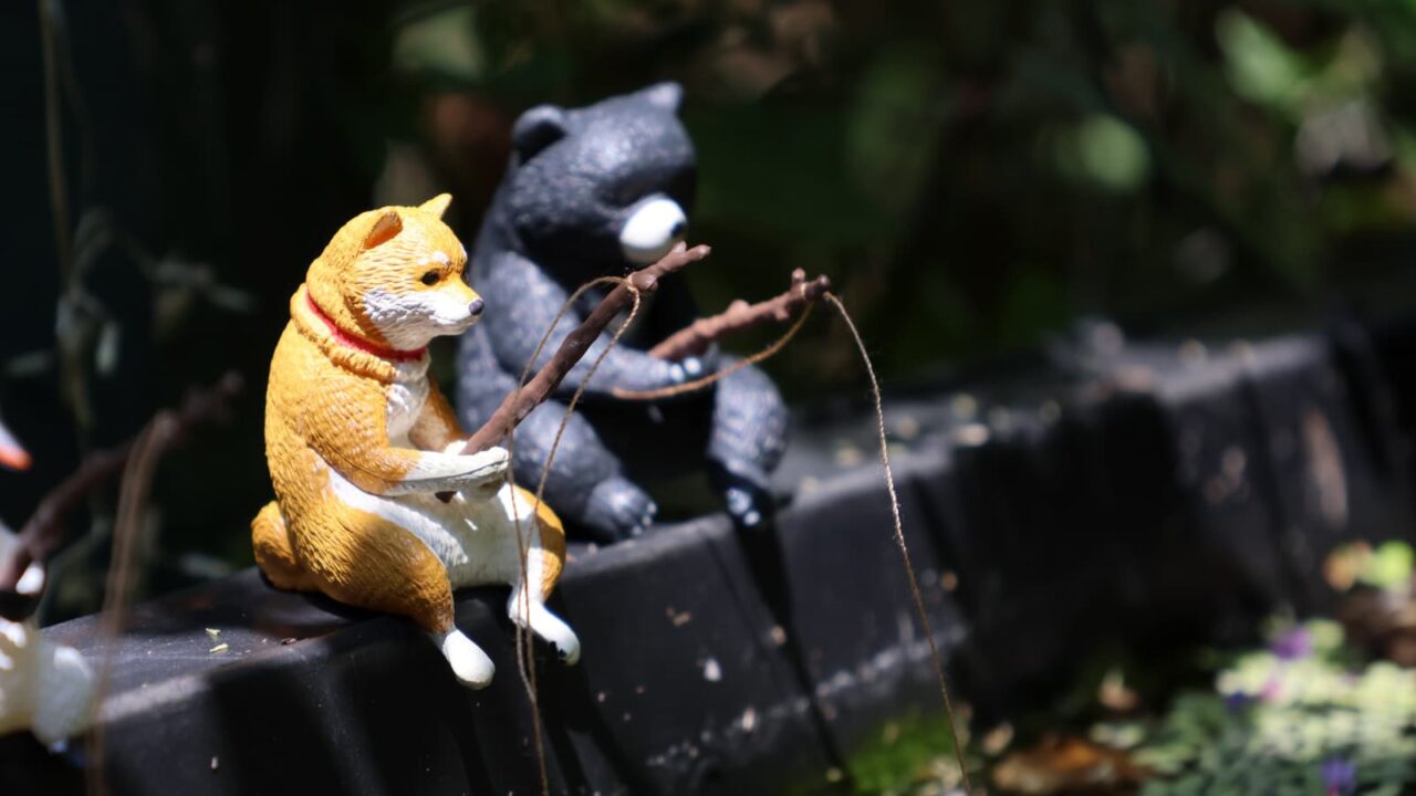 釣り日和２回目202606（シバ丸）